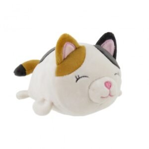 ANIMALES 6 GATO